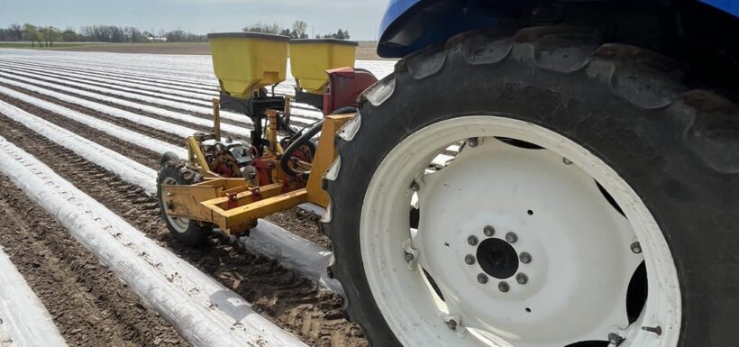 Tractor working in a plowed farm field.