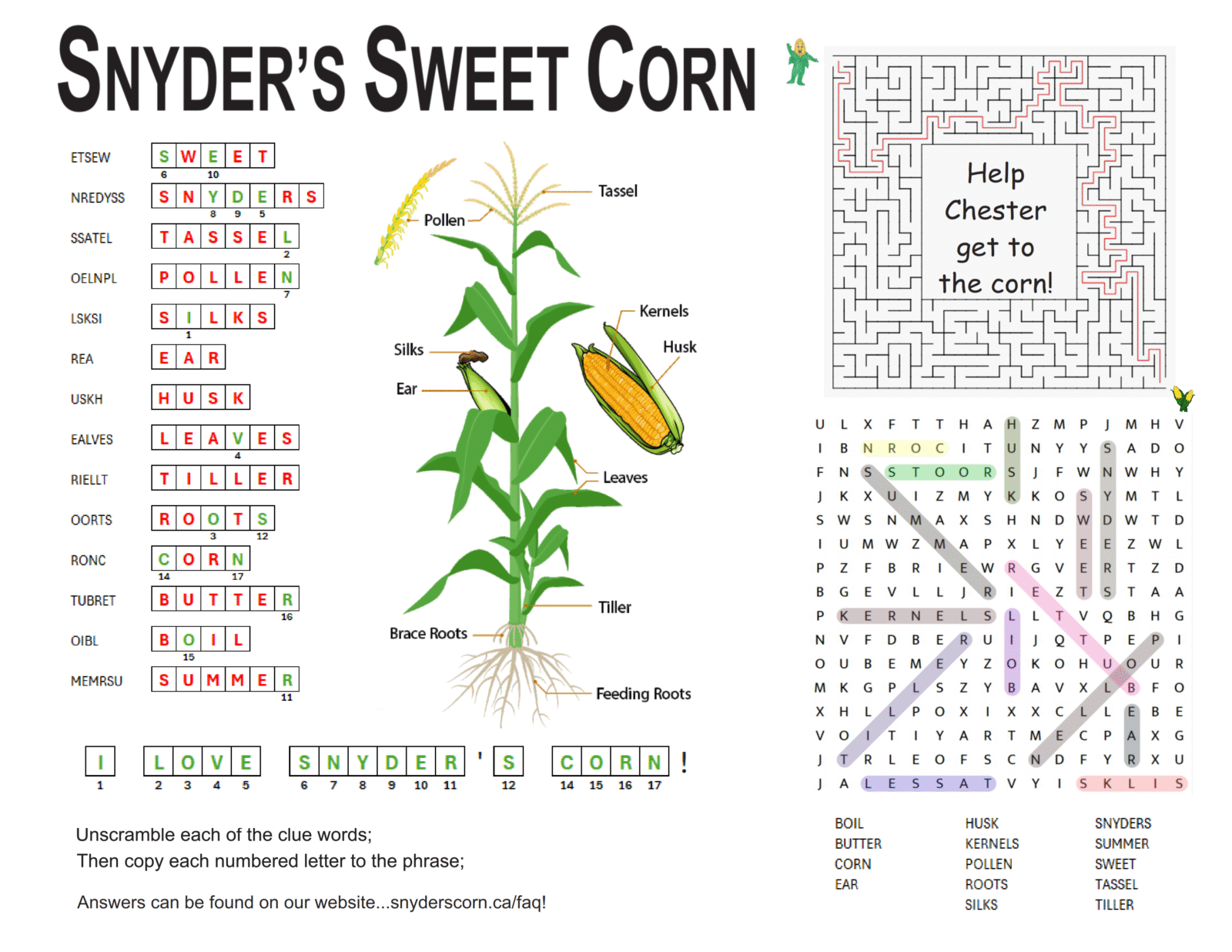 Colour Sheet Answers